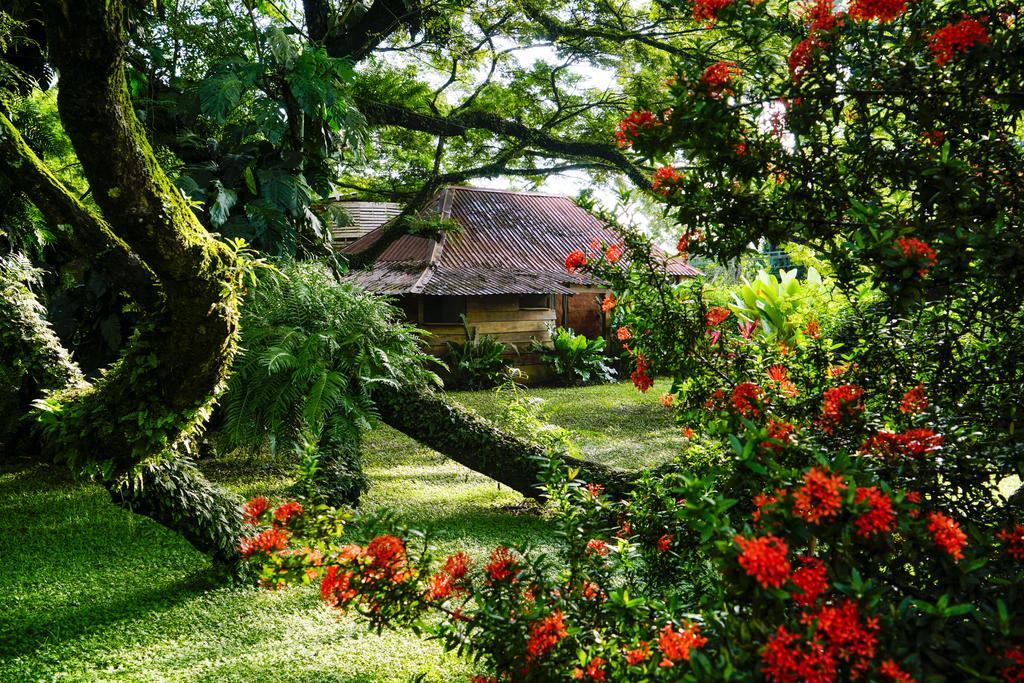 Ecovital Costa Rica Jaco Room photo